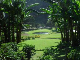Boquete Panama golf couurse with palm trees and the green – Best Places In The World To Retire – International Living